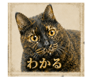 840976934