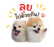 840977650