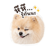 840977655