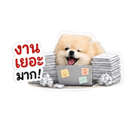840977669