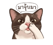 840977745