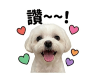 840979116