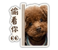 840979334