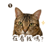 840980031
