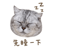 840980228