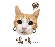 840980240