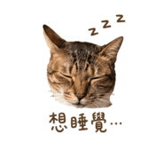840980250