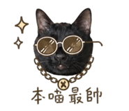 840980262