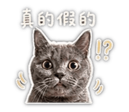 840980383