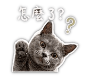 840980384