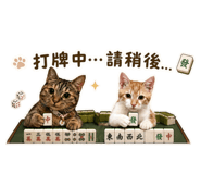 840981244
