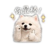 840981556
