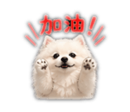840981558