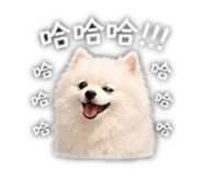 840981564