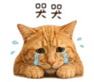 840981738