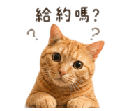 840981748