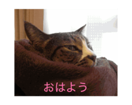 840982487