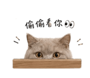 840982904