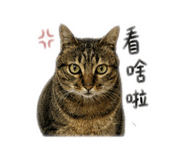 840984025