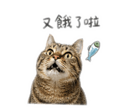 840984026