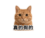 840984755