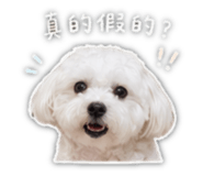 840984901