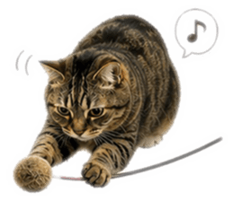 840985022