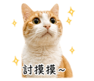 840985077