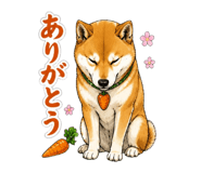 840985813