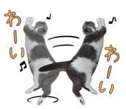 840985971