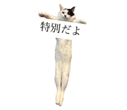 840986153