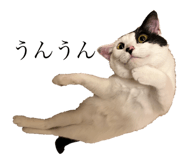 840986173