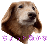 840986379