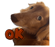 840986382