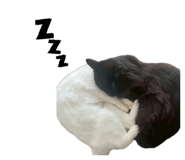 840986823