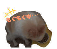 840986874