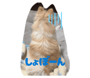 840986877