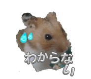840987821