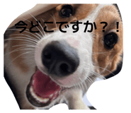 840988318