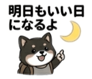 840988604