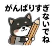 840988607
