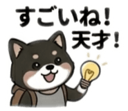 840988620