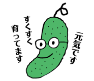 840988799