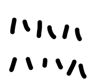 840988892
