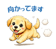 840988981