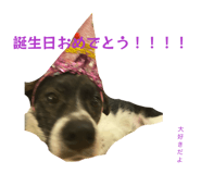 840989249