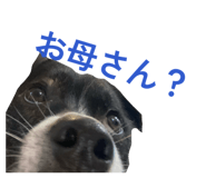 840989252