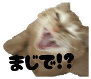 840989425