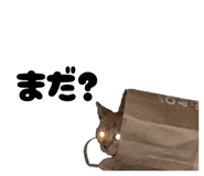840989431