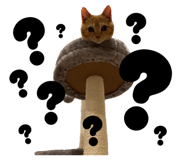 840989434